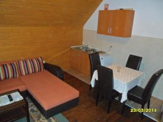Apartments Sara - Žabljak - 1