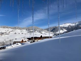 Chalets Savoie Les chalets d'Heidi - Notre-Dame-de-Bellecombe - 1