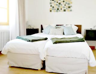 HOTEL DU MIDI - Beaufort-sur-Gervanne - 7
