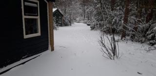 Bospark De Schaapskooi - 8
