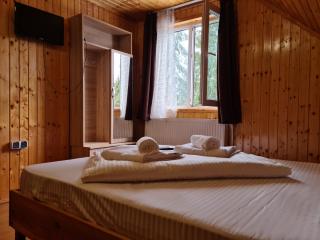 Cabana Mălina Vârtop - Vîrtop - 9