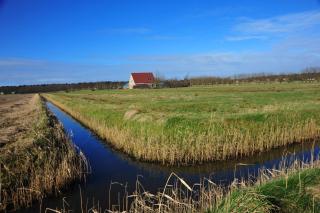 Witte Weelde Texel - De Koog - 2