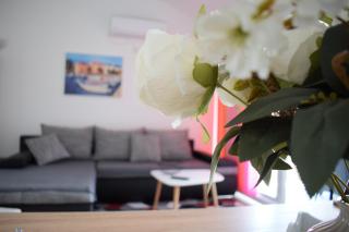Apartment Golden Sun - Vir - 7
