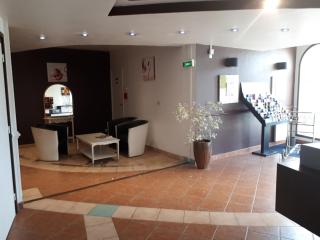 Hotel Albatros - Mouans-Sartoux - 2