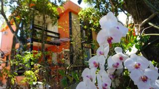 Pousada Casa Di Gaya Guesthouse - 0