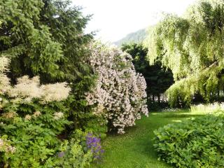 Ferienwohnungen Familie Wetzlinger - Bad Kleinkirchheim - 2