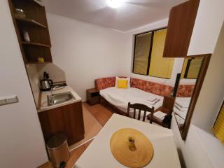 АПАРТАМЕНТ ДЕТЕЛИНА - Bansko - 4