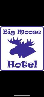 Big Moose Pattaya - Pattaya - 9
