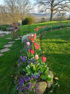 le gite du CASTELBOSC - 8