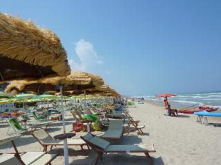 Cavalluccio Marino i1 Silvi Vacanza - Silvi Marina - 2