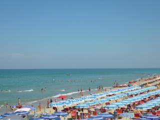 Cavalluccio Marino i1 Silvi Vacanza - Silvi Marina - 1