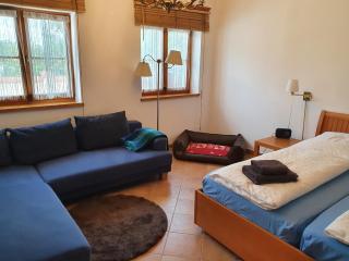 Pension und Landhaus Steirerengel - Ferien & Jagd - Lócs - 1