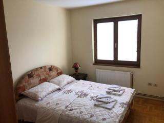 Apartman Djina - Vrnjačka Banja - 2