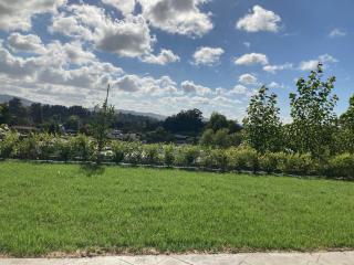 Hideaway on Fort - 8