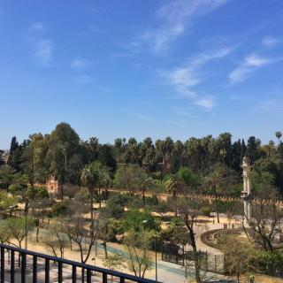 Hotel Alcázar - 8