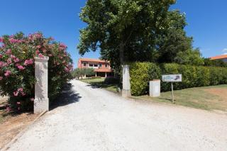 Rooms Alla Beccaccia - Fažana - 1