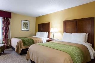 Comfort Inn Columbia-Bush River - Columbia - 4