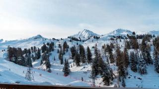 Chalet Carte Blanche Violette - La Plagne - 4