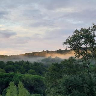 Charmant Studio proche Lac et Forêt - Carcassonne - 8