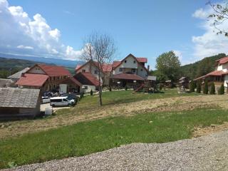 Pensiunea Valea Branzei - 2