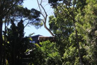 Treehouse Cottage - The Crags - 3