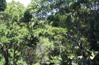 Treehouse Cottage - The Crags - 6