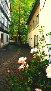 Altstadtapartment an der Krämerbrücke - Erfurt - 5