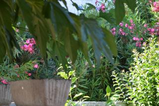 Le patio de Torreilles-Plage - Torreilles - 6