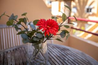 Las Dunas, Holiday Home Resort - VV - 4