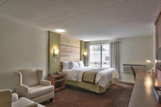 Blue Mountain Resort Inn - Blue Mountains - 5