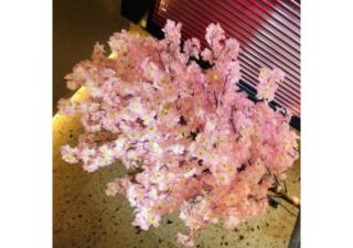 Sakura Sky Hotel - Vacation STAY 18444v - Tokio - 1