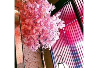 Sakura Sky Hotel - Vacation STAY 18432v - 2