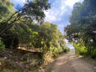 Locanda Tipica Sa Corte - Oliena - 9