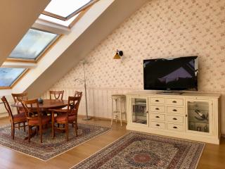 LUXURY PENTHOUSE WITH A LAVISH SPA and 2 en-suite bedrooms - Bansko - 7
