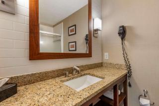 Comfort Inn & Suites - Triadelphia - 6
