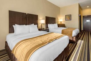 Comfort Inn & Suites - Triadelphia - 8