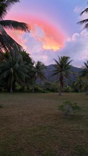 Tifaifai Et Café Huahine - Fare - 4
