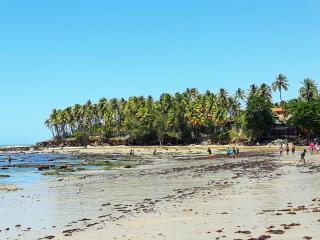 Vistamar Arco das Flores 2 - 7