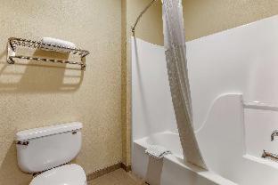 Comfort Inn & Suites North Tucson Marana - 3