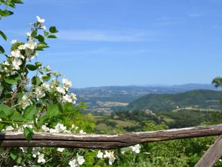 Royal Holiday Home With Swimming Pool - Monte Santa Maria Tiberina - 4