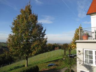 Gäste- und Vitalhaus Sauer - Kitzeck im Sausal - 7