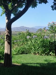 Klaasvoogds Cottages - Robertson - 4