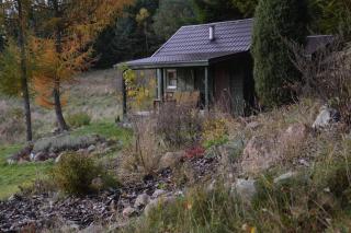 hut in the mid. of nowhere + priv pond+3 ha - Darżkowo - 9