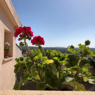 Vista de la Vila - Turismo de interior. - 6