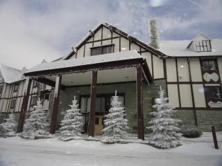 4 Seasons at Beech Mountain - 1