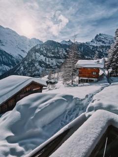 Mountain Hostel Gimmelwald - Gimmelwald - 6