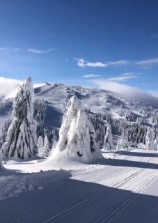 Sunny Kop Čardaci - Kopaonik - 3