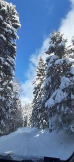 Rujan 1 - Cvetići - 7