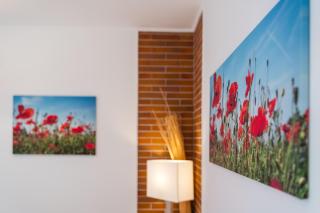 Sára-Lux Apartman - Nyárliget - 1