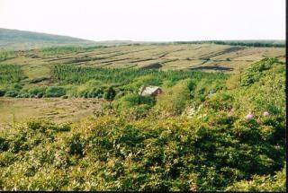Charming House in Laghy with Garden - Laghy - 4